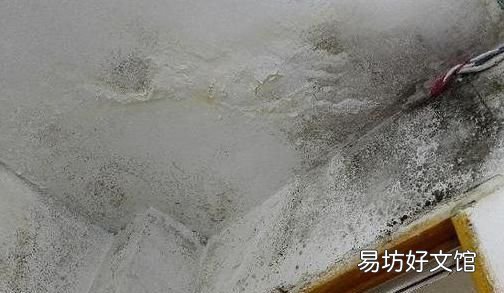 窗户墙面发霉怎么办,窗户边上的墙角发霉的根本原因是什么