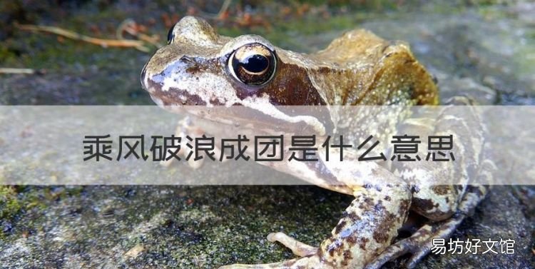 乘风破浪成团是什么意思