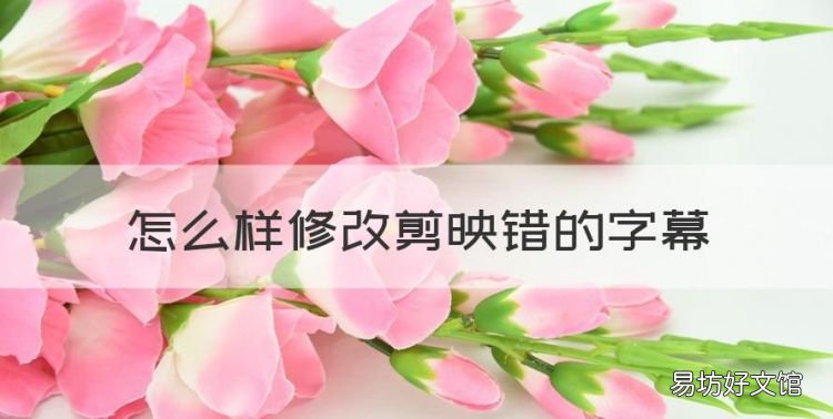 怎么样修改剪映错的字幕，剪映字幕怎么修改错别字