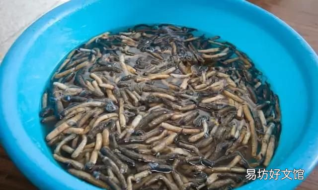 土笋冻制作原料,土笋冻是用什么材料做的