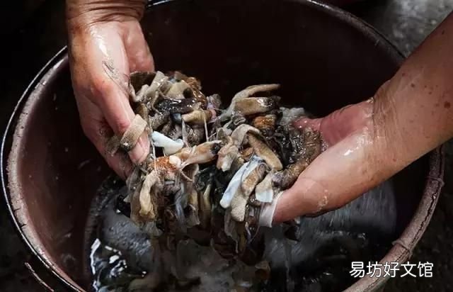 土笋冻制作原料,土笋冻是用什么材料做的
