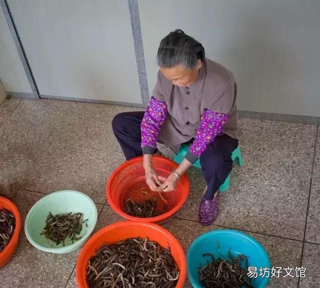 土笋冻制作原料,土笋冻是用什么材料做的