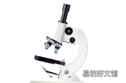 显微镜的目镜成什么像,通过显微镜看到的像是什么像