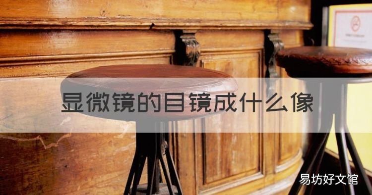 显微镜的目镜成什么像,通过显微镜看到的像是什么像