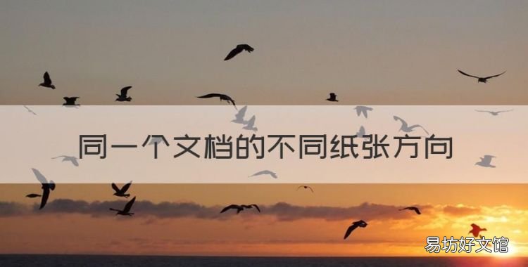 同一个文档的不同纸张方向,如何让word每一页纸张方向不同