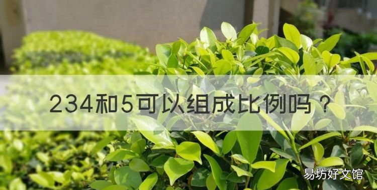 234和5可以组成比例