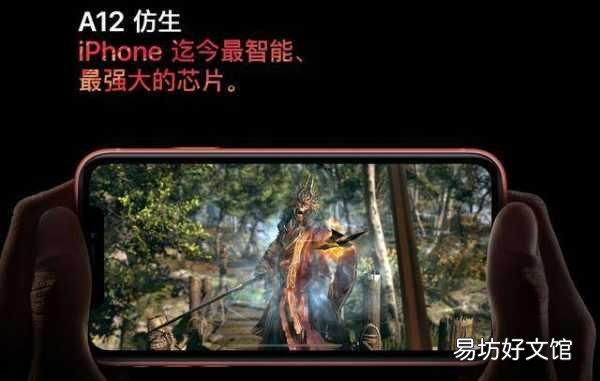 两种不同屏幕区别介绍 苹果xr有两种屏幕版本嘛