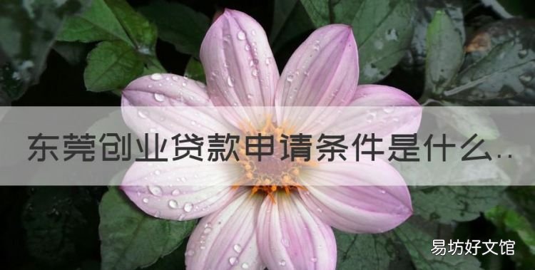 东莞创业贷款申请条件是什么，个人创业贷款需要什么条件能贷多少