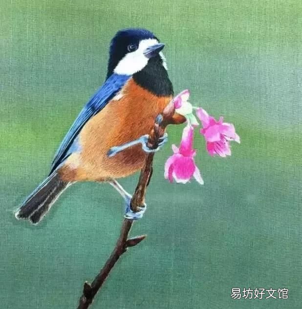 中國哪個刺繡屬于傳統刺繡之一