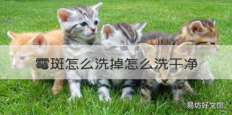 霉斑怎么洗掉,怎样去除毛巾上的黑点霉点小妙招