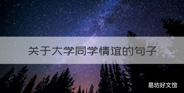同学情谊的句子，关于大学同学情谊的句子