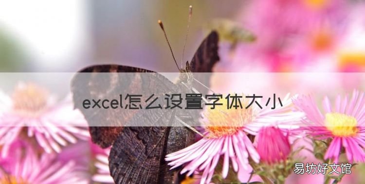 excel怎么设置字体大小，Excel自动调整字体大小