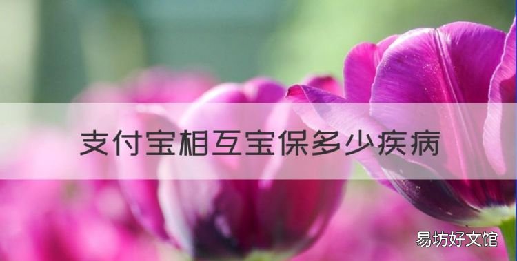 支付宝相互宝保多少疾病,支付宝相互宝99种大病指的是哪些