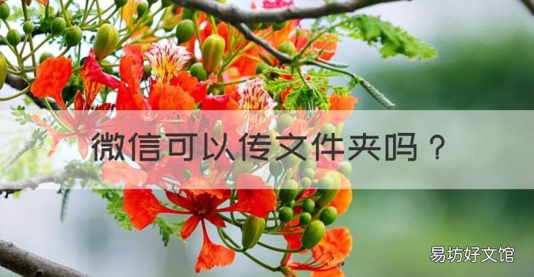 微信可以传文件夹,微信怎么发文件夹给好友