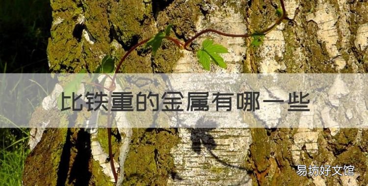 比铁重的金属有哪些,藏传寒铁是什么金属