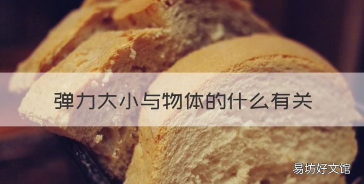 弹力大小与物体的什么有关,橡皮泥弹性形变还是塑性形变
