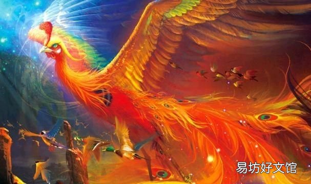 凤凰由来,凤凰怎么来的