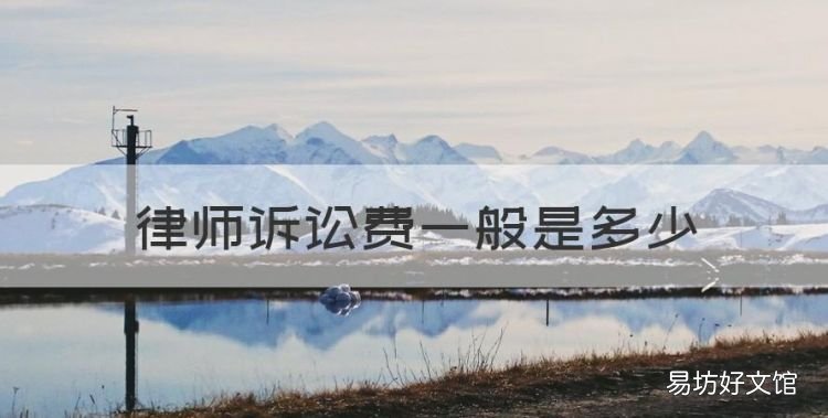 律师诉讼费一般是多少,法院起诉律师费用标准多少劳动纠纷