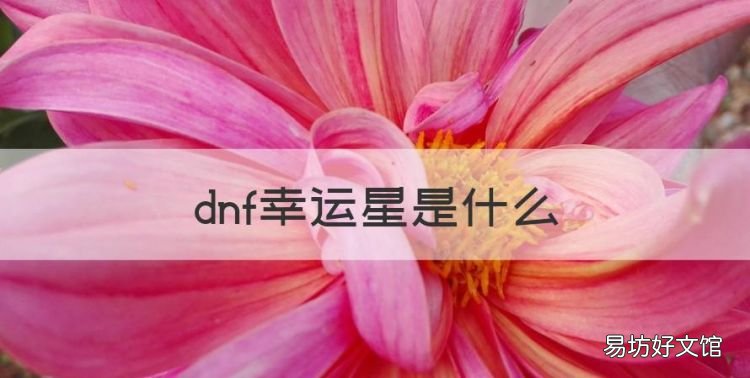 dnf幸运星是什么，dnf幸运星武器怎么删除