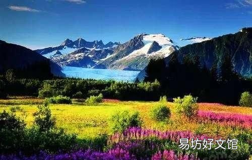云南第一村是哪里