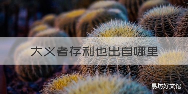 大义者存利也出自哪里,闲读《资治通鉴》9大利即为义