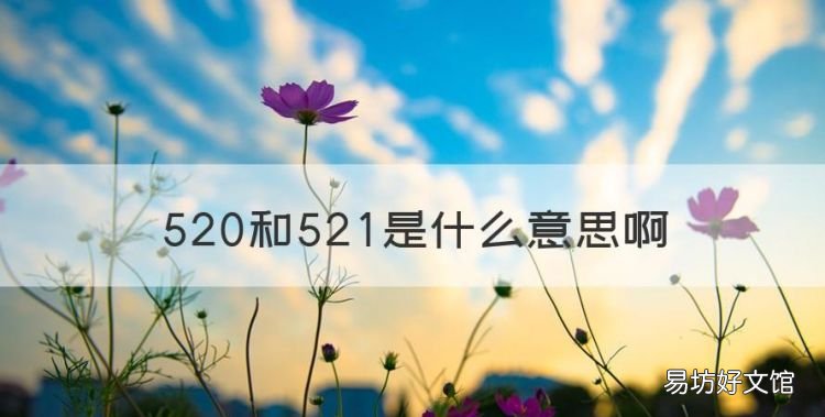 520和52是什么意思,520521分别是什么意思