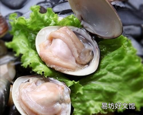 海产品有哪些:国际博览会上日照有哪些名产
