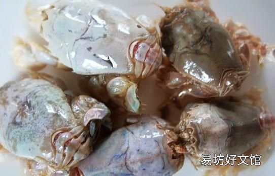 海产品有哪些:国际博览会上日照有哪些名产