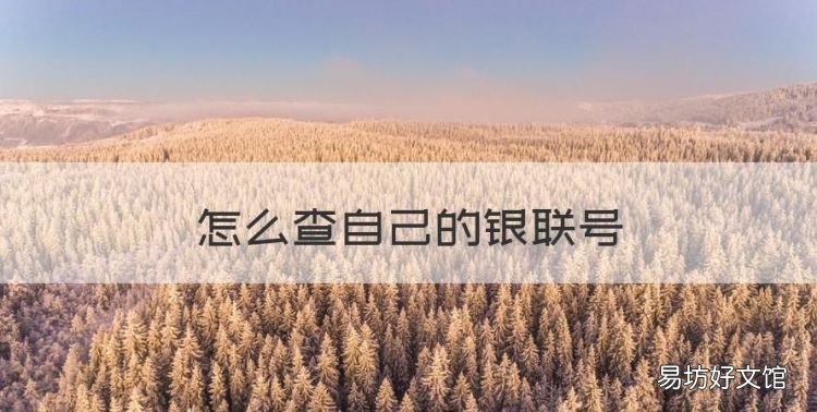 怎么查自己的银联号