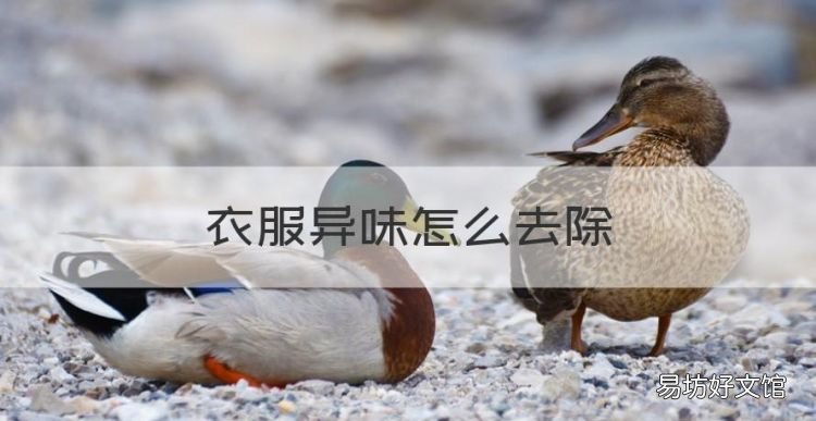 衣服异味怎么去除,衣服上有异味怎么去除妙招