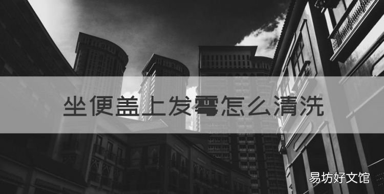 坐便盖上发霉怎么清洗,马桶盖发黄发霉怎么清洗