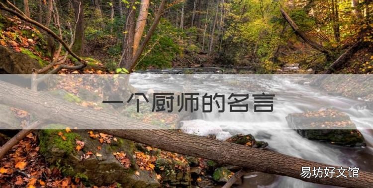 一个厨师的名言,幼儿园厨师格言 经典语录