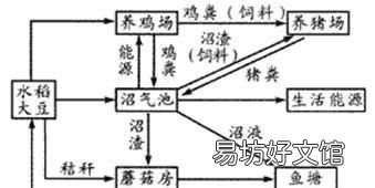 高中生物知识点生态系统,高中生物关于生态系统的知识点