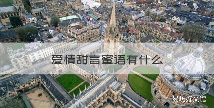 爱情甜言蜜语有什么,爱情甜言蜜语大全短句