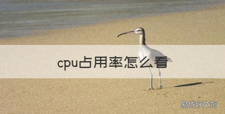 cpu占用率怎么看,查看cpu使用率命令 linux