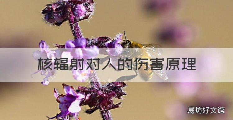 核辐射对人的伤害原理,核辐射是什么为什么对人伤害这么大呢