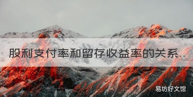 股利支付率怎么算例题,股利支付率和留存收益率的关系