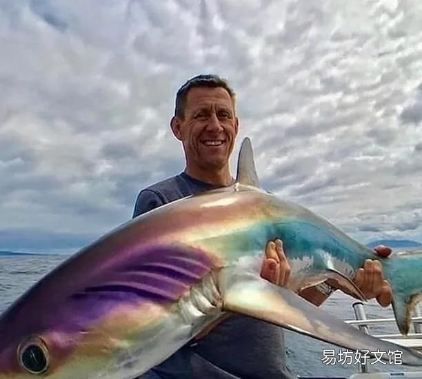常见的深海鱼,怎么才能看得见深海鱼呢