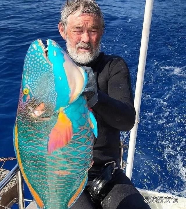 常见的深海鱼,怎么才能看得见深海鱼呢