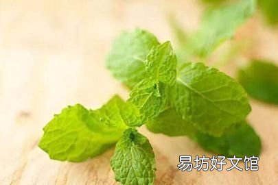薄荷有什么功效和作用