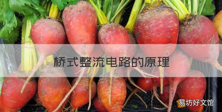 桥式整流电路的原理,桥式整流后电压升高原因