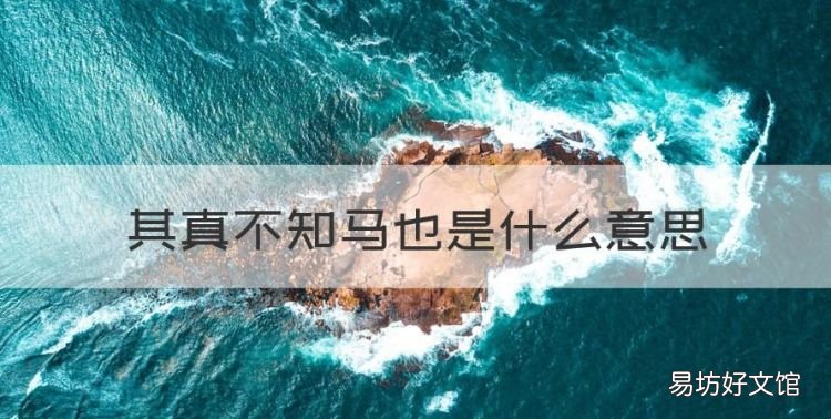其真不知马也是什么意思,其真不知马也的其字什么意思解释