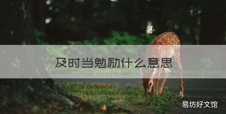 及时当勉励什么意思,及时当勉励岁月不待人是谁写的诗
