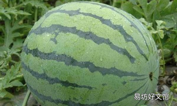 什么水果去火,吃什么水果可以去火清热解毒