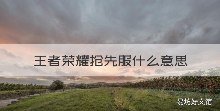 王者荣耀抢先服是什么,王者荣耀抢先服什么意思