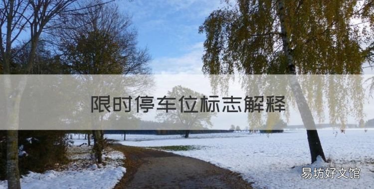 限时停车位标线,限时停车位标志解释