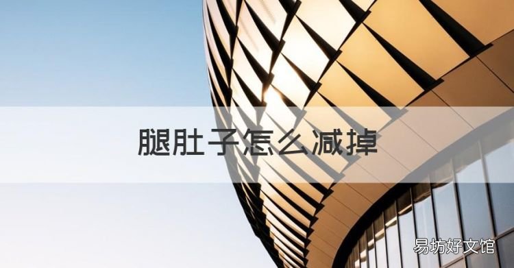 腿肚子怎么减掉,怎样才能减掉大腿上和肚子上的肥肉呢