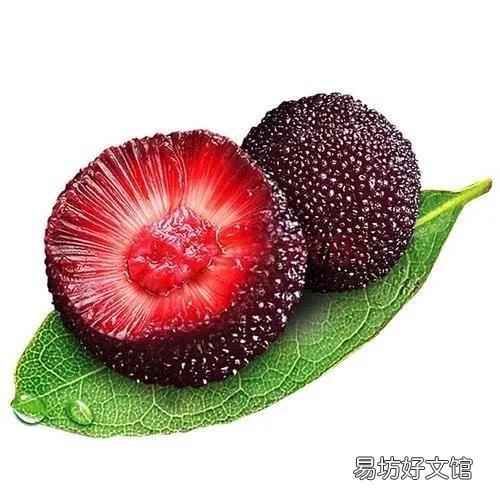 47种常吃水果的成熟时间表 荔枝什么时候成熟季节