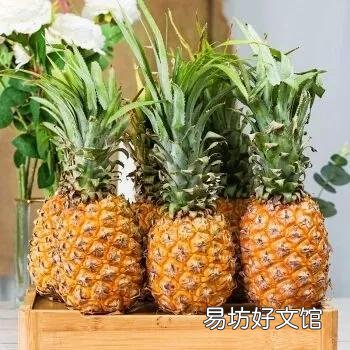 47种常吃水果的成熟时间表 荔枝什么时候成熟季节