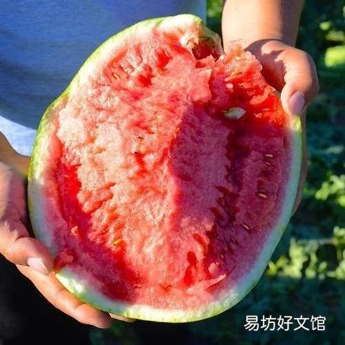 47种常吃水果的成熟时间表 荔枝什么时候成熟季节